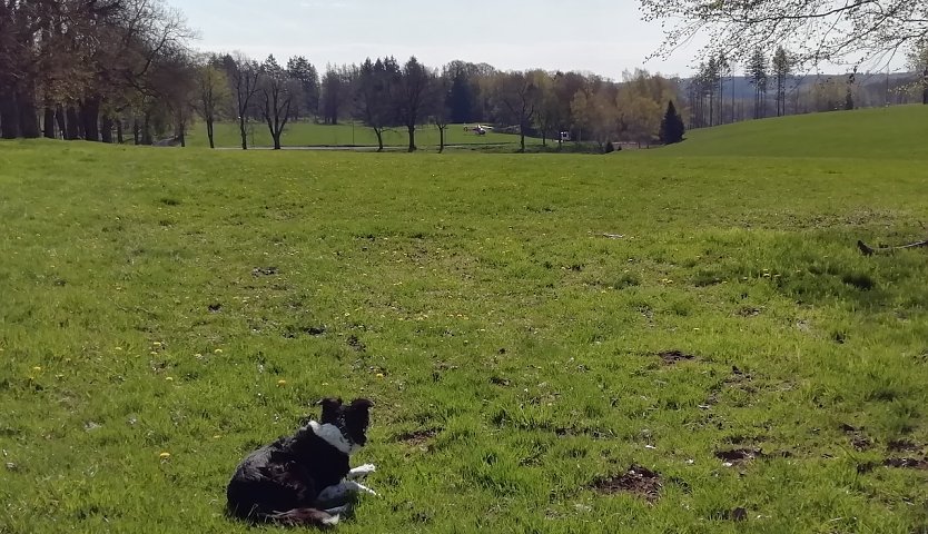 Bei diesem Wetter heute kann man getrost den Hund vor die T&uuml;r jagen (Foto: W.J&ouml;rgens)
