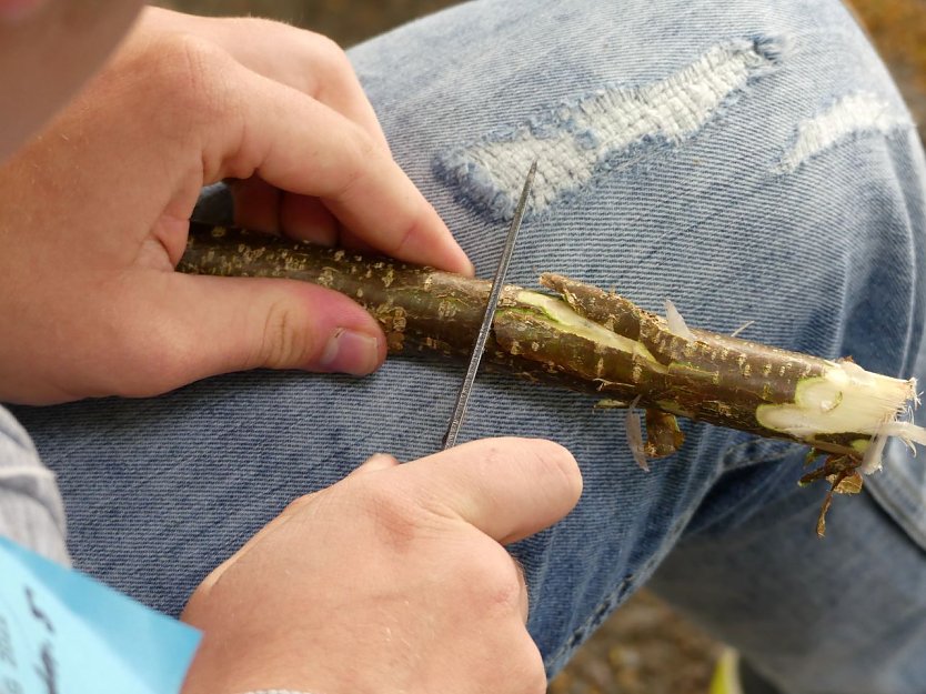 Mit dem richtigen Stab pilgert es sich besser (Foto: Evangelischer Kirchenkreis S&uuml;dharz)