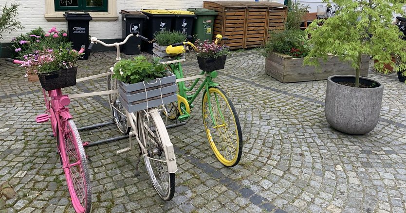 Symbolbild - Radeln (Foto: Eva Maria Wiegand)