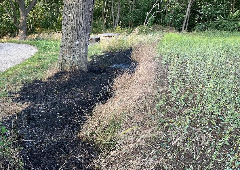 Verbrannte Wiese (Foto: Feuerwehr Bad Langensalza)