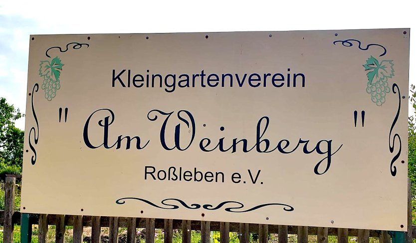 Sommerfest in Kleingartenverein "Am WEinberg" (Foto: Knut Herzau)
