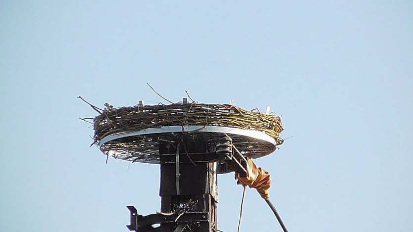 Im Moment noch unbewohnt, aber die Hoffnung ist gro&szlig; (Foto: Ulrich Reinboth)