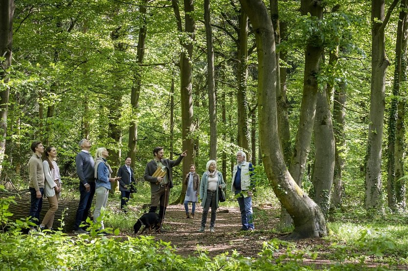 Waldf&uuml;hrung durch den FriedWald (Foto: FriedWald GmbH)