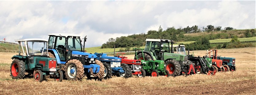 Schmuckst&uuml;cke auf einem Feld bei Badra (Foto: Ulrich Reinboth)