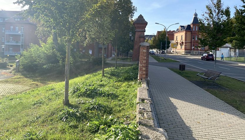 Mauer oder Nichtmauer, das ist hier die Frage (Foto: oas)