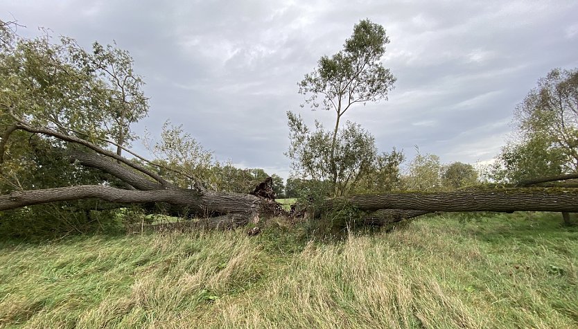 Weiter k&uuml;hles Herbstwetter (Foto: oas)