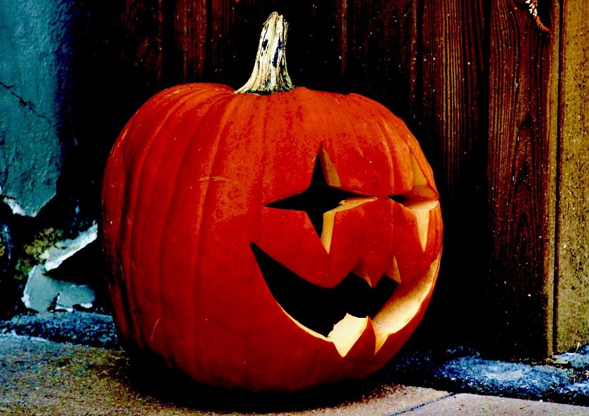 Helloween-K&uuml;rbis (Foto: Eva Maria Wiegand)