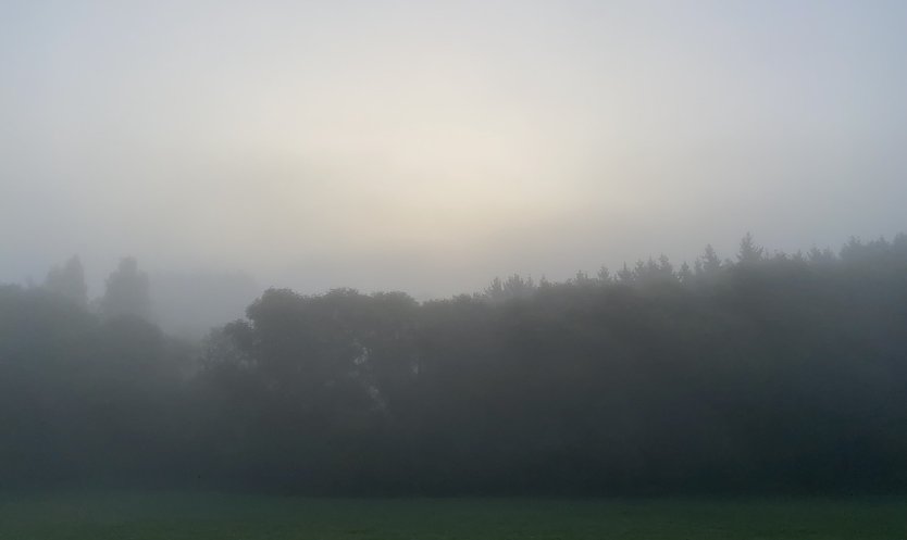 Vielfach ist es neblig im Freistaat und die Sonne k&auml;mpft sich nur langsam durch (Foto: oas)