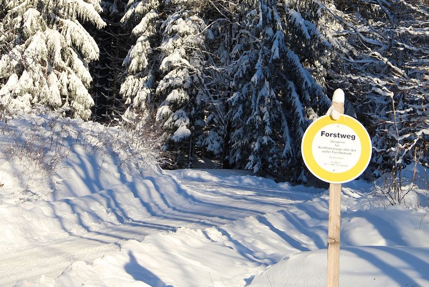 Bild: Auch wenn die herrlich wei&szlig;e Waldwinterlandschaft zum ausgedehnten Spaziergang einl&auml;dt � die Th&uuml;ringenForst-A&ouml;R warnt vor rutschigen und glatten Waldwegen insbesondere in den Mittelgebirgslagen
