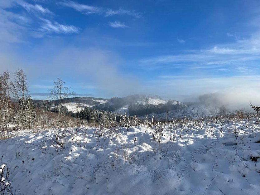 Bild: Talsperre in Neustadt im Winter