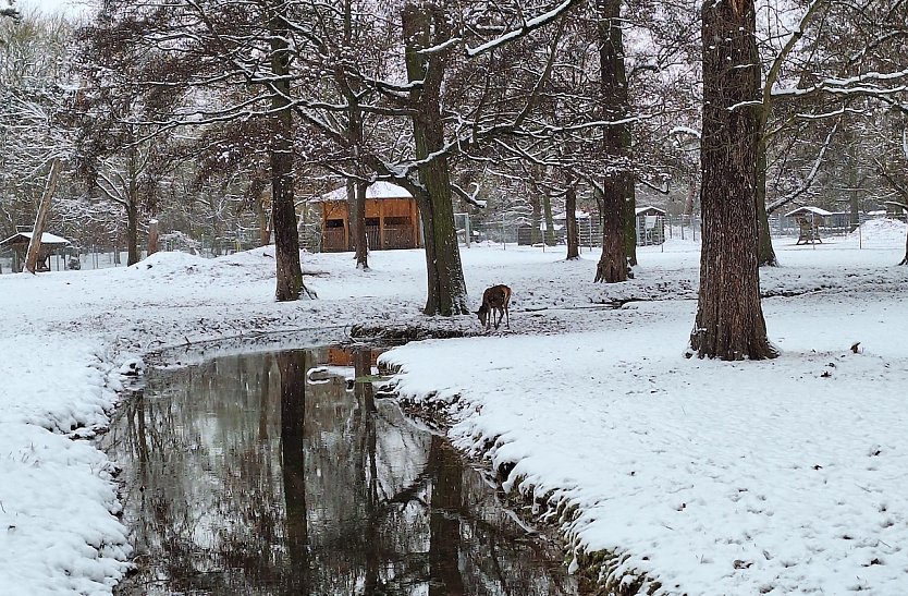 Sonntagsspaziergang im Park (Foto: S. Deckert)