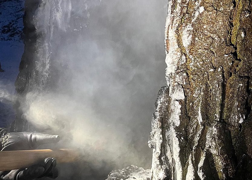 Gesch&auml;ndeter Baum im Schlosspark heute fr&uuml;h (Foto: S.Dietzel)