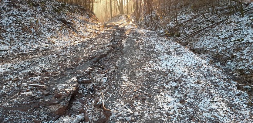 Hochwassersch&auml;den im S&uuml;dharz (Foto: Gerd Thomsen)