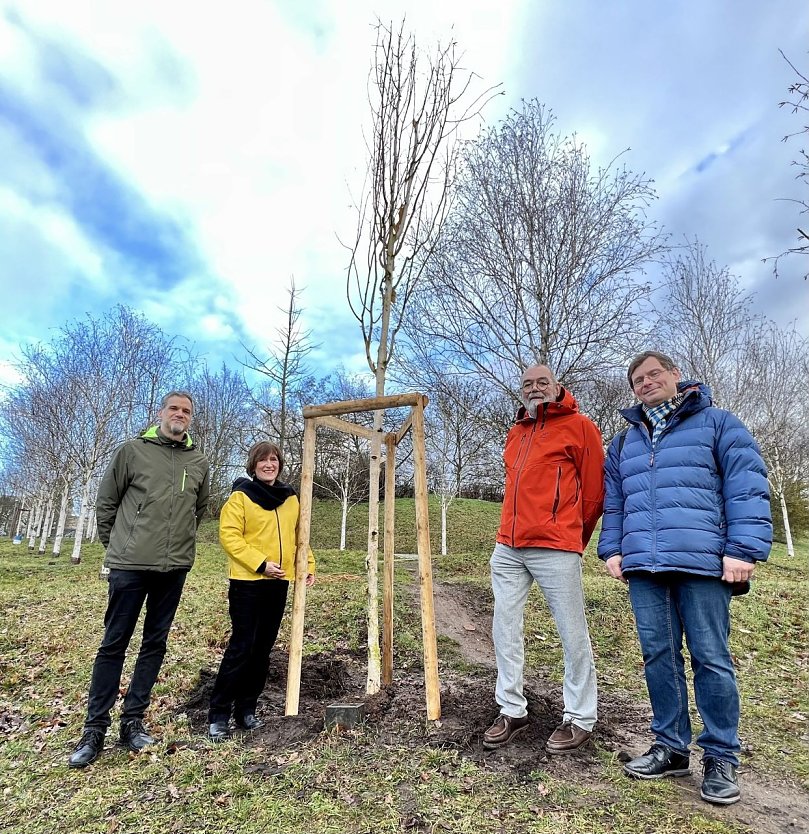 Neuer Gedenkbaum f&uuml;r Albert van Hoey (Foto: Stadt Nordhausen)