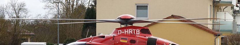 Kam ein Vogel geflogen (Foto: nnz)