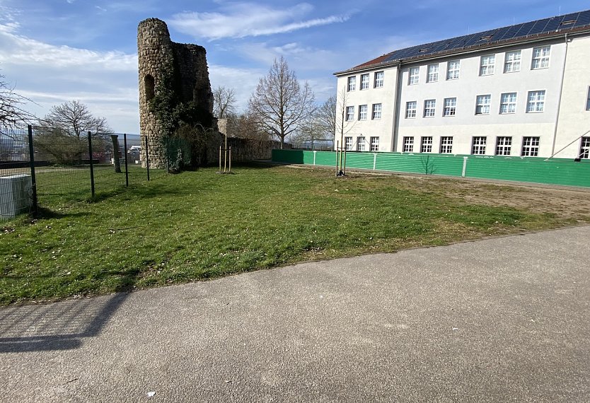 Das Gel&auml;nde auf dem Petersberg gilt den beiden Initiatoren als m&ouml;glicher Standort (Foto: D.Rieger)