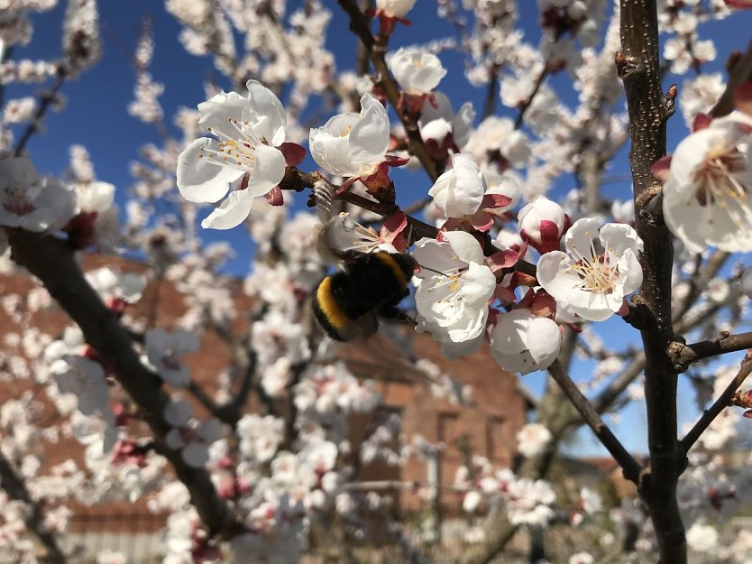 Wetterbild (Foto: S. Hartung)