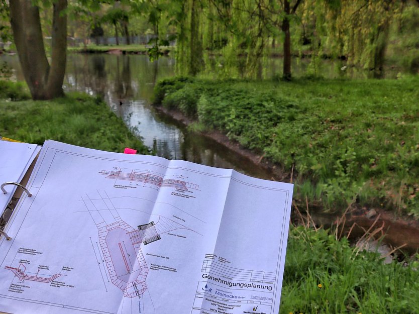 Im Stadtpark soll ein Kneippbecken gebaut werden (Foto: Stadt Nordhausen) Im Stadtpark soll ein Kneippbecken gebaut werden (Foto: Stadt Nordhausen)