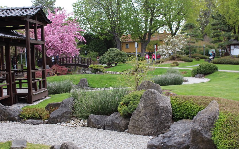 Im Japanischen Garten warten Kinderfest und Teezeremonien auf die Besucher (Foto: emw)