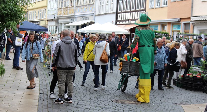 Immanuel Immergr&uuml;n stolziert durch die Marktstra&szlig;e und hat die Lacher auf seiner Seite (Foto: oas)