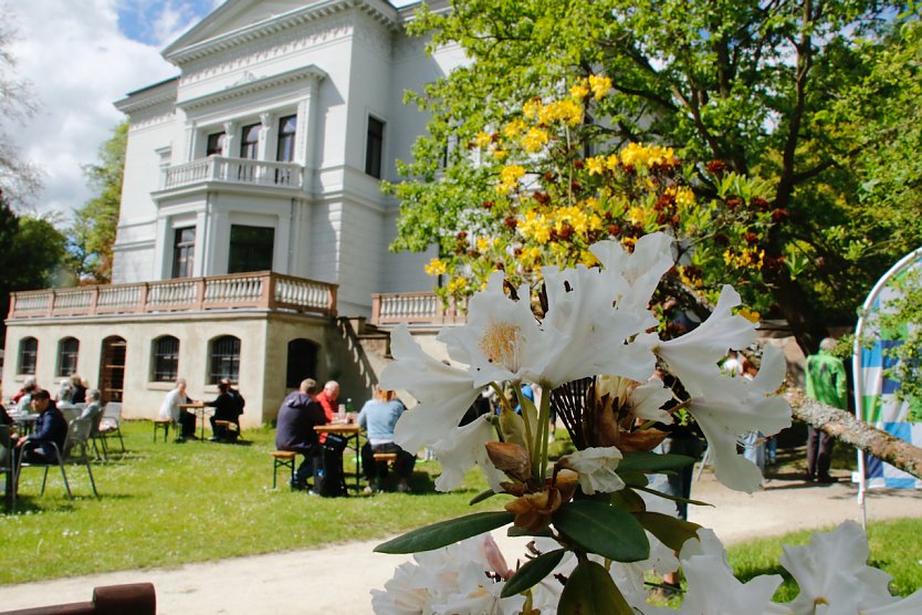 Sonnenschein und Kinderlachen - im Park Hohenrode feierte man am Sonntag Parkfest und Parknick (Foto: F&ouml;rderverein Park Hohenrode)