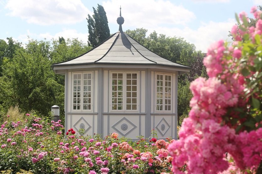 Der Pavillon im Rosengarten (Foto: KTL Bad Langensalza) Der Pavillon im Rosengarten (Foto: KTL Bad Langensalza)