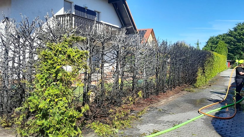 Feuerwehreinsatz an einer Hecke (Foto: Feuerwehr/S.Dietzel)