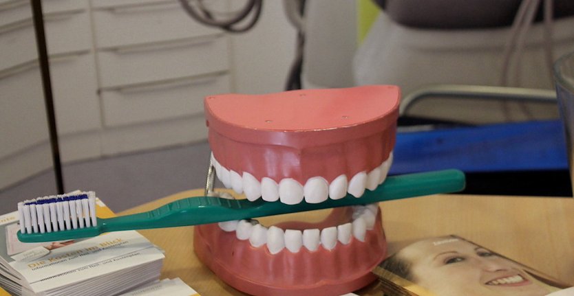 Zahngesundheit bei Kindern f&ouml;rdern (Foto: emw)