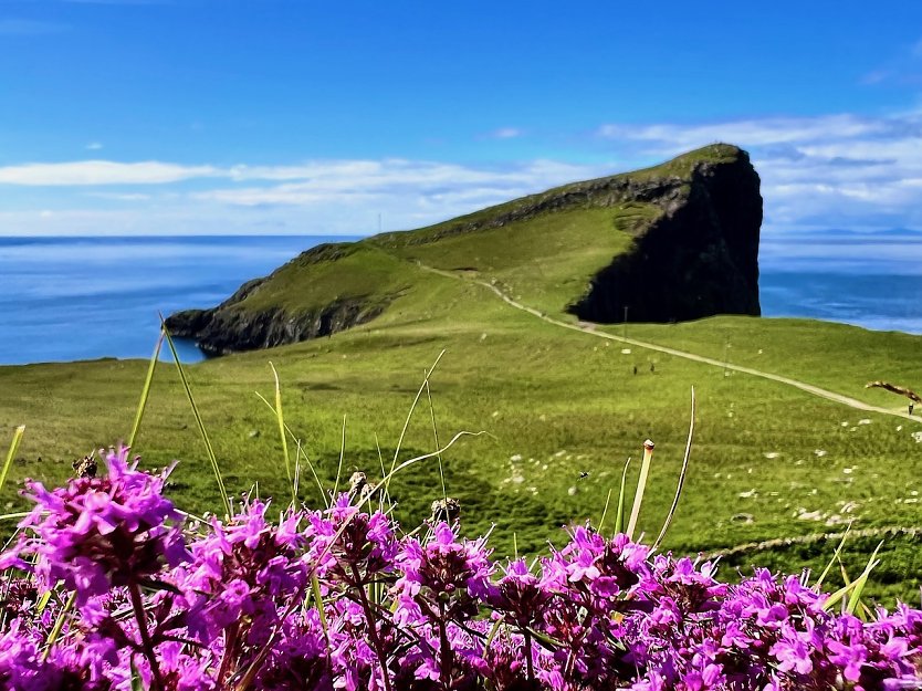 Tour auf der Isle of Skye in Schottland (1) (Foto: Ivonne Koch)