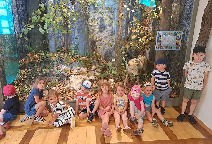 Kindervillakinder besuchen Fledermausausstellung im Regionalmuseum (Foto: Katrin Milde) Kindervillakinder besuchen Fledermausausstellung im Regionalmuseum (Foto: Katrin Milde)