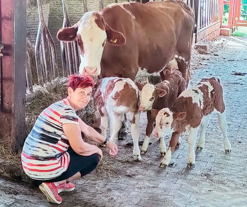 Vera Scheffel ist &uuml;bergl&uuml;cklich, dass Mutterkuh Flo und deren drei "Kinder" wohl auf sind (Foto: privat)
