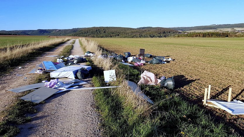 M&uuml;ll in der Natur (Foto: R.Wei&szlig;bach)