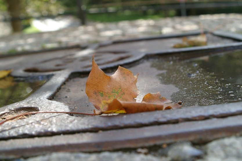 Wetterbild (Foto: nnz) Wetterbild (Foto: nnz)