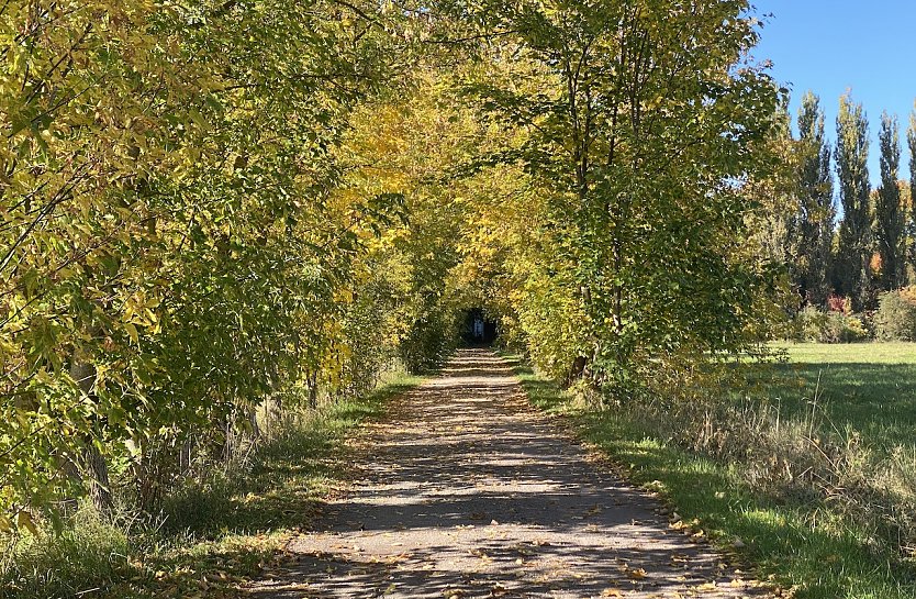 Das stürmische Herbstwetter lässt nach (Foto: oas) Das stürmische Herbstwetter lässt nach (Foto: oas)