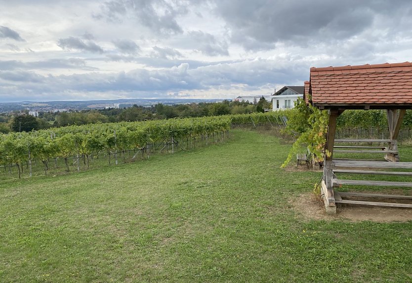 Weingut in Gro&szlig;obringen (Foto: Wolfgang Lehmann)