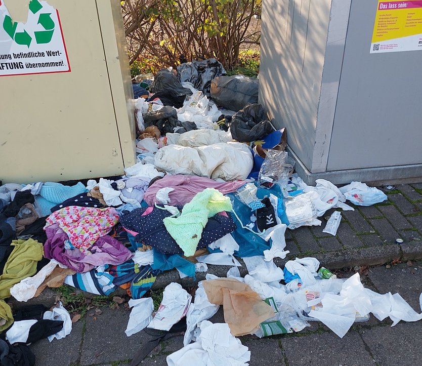 Die Aufnahme entstand an Containerstandort An der Bleiche (Foto: B.Steinmetz) Die Aufnahme entstand an Containerstandort An der Bleiche (Foto: B.Steinmetz)