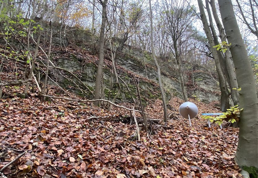 Herbstlicher Wald zwischen Rottleben und Frankenhausen (Foto: Wolfgang Lehmann)