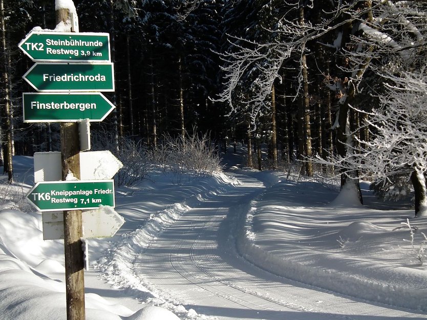 W&auml;lder haben immer Eigent&uuml;mer � auch wenn vor Ort nur Wanderwege gekennzeichnet werden (Foto: Dr. Horst Spro&szlig;mann)