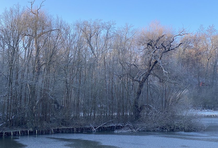 F&auml;llt doch die eine oder andre Schneeflocke an Heiligabend? (Foto: uhz Archiv)