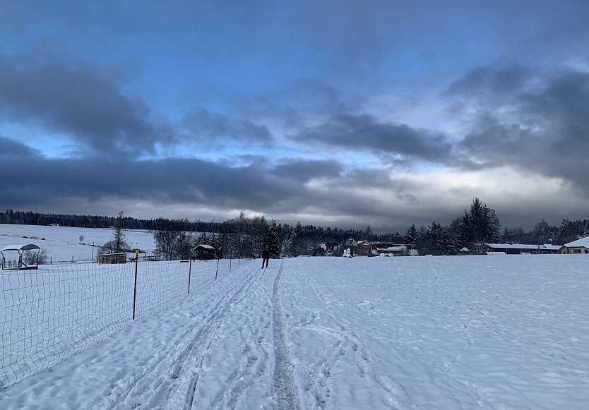 Symbolbild Schnee (Foto: Eva Maria Wiegand)