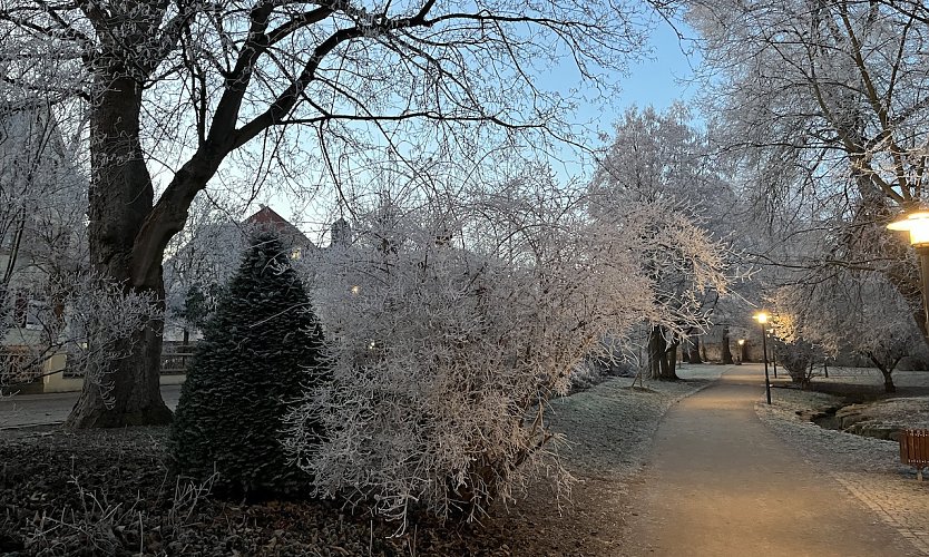 Frost und Glätte bleiben wetterbestimmend (Foto: oas) Frost und Glätte bleiben wetterbestimmend (Foto: oas)