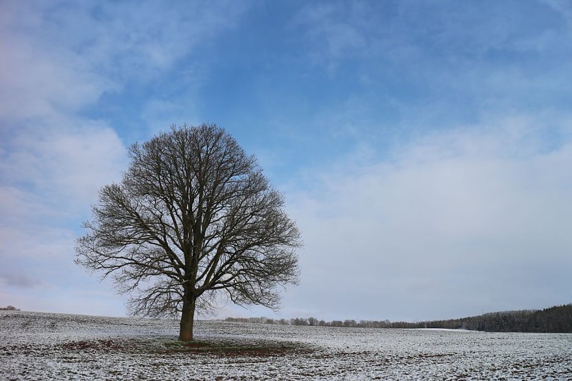 Wetterbild (Foto: agl) Wetterbild (Foto: agl)