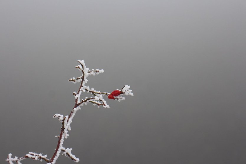Wetterbild (Foto: agl) Wetterbild (Foto: agl)