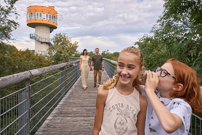 Saison im Baumkronenpfad beginnt (Foto:  &copy; Tino Sieland)