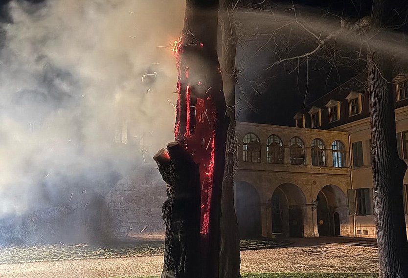 Brennender Baum im Sondersh&auml;user Lustgarten (Foto: S.Dietzel)