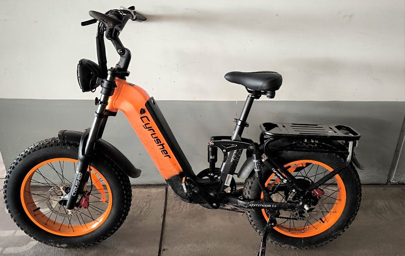 Wer vermisst sein Pedelec? (Foto: LPI)