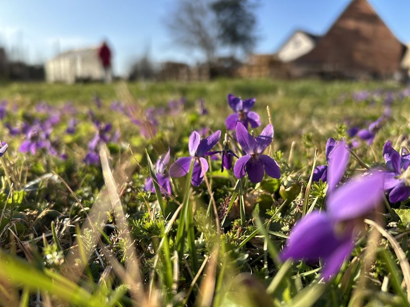 Wetterbild (Foto: agl)