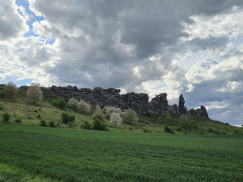 Momentaufnahme von der Teufelsmauer bei Weddersleben (Foto: Dirk Schwarze)