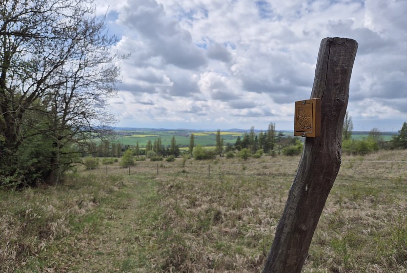 Der seltene Aurinia-Falter, auch Goldener Scheckenfalter genannt, ist der Namensgeber f&uuml;r diesen Weg mit zahlreichen sch&ouml;nen Ausblicken. (Foto: Cornelia Otto-Albers)