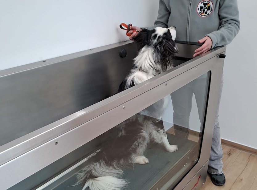 Rettungshundeausbildung im Eichsfeld (Foto: Theresa Behrendt)